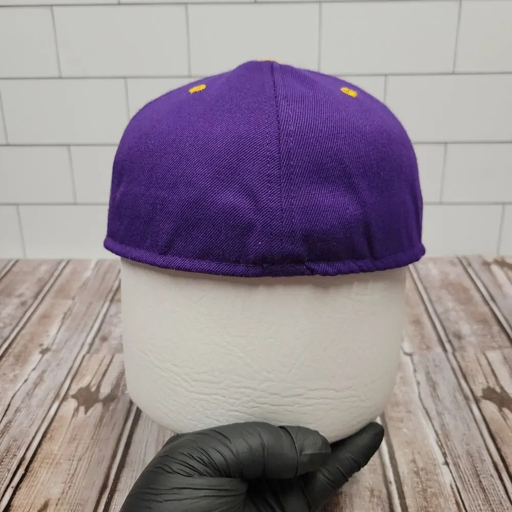 Vintage DeLONG UW Stevens Point  Pointers Fitted Hat 7 1/4 Made USA Purple Gold